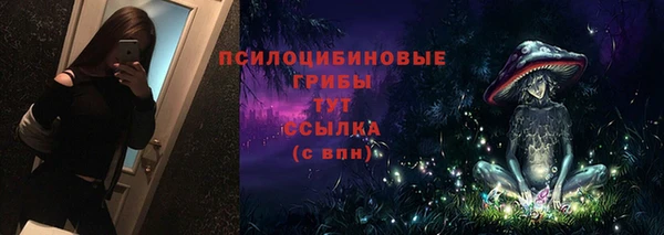твердый Алзамай