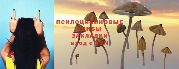 ECSTASY Алексин
