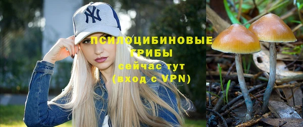 ECSTASY Алексин