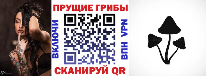 Галлюциногенные грибы Psilocybine cubensis  Оханск 
